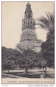 Cordoba, Patio de los Naranjos y exterior de la Catedral, Andalucia, Spain, P...