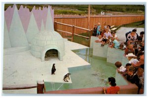 c1950's Penguin's Igloo Storyland Valley Edmonton Alberta Canada Postcard