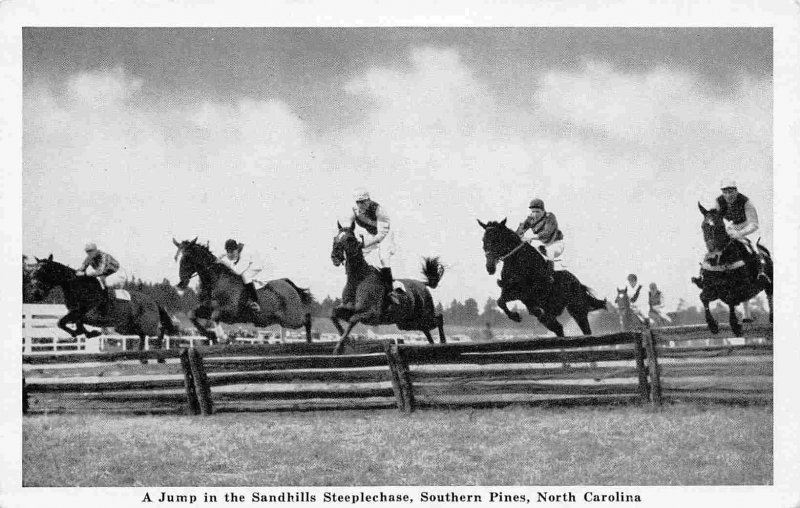 Sandhills Steeplechase Horse Racing Southern Pines North Carolina postcard