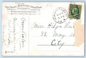 Anthropomorphic Dog Postcard Grandma Having Tea Worcester Massachusetts MA 1909