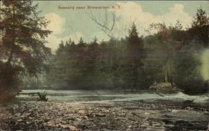 Scenery Near Brewerton NY c1910 Postcard