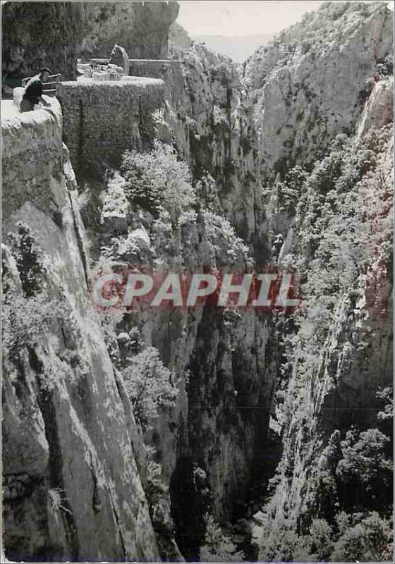 Modern Postcard St Paul de Fenouillet (Pyr O) Galamus Gorges