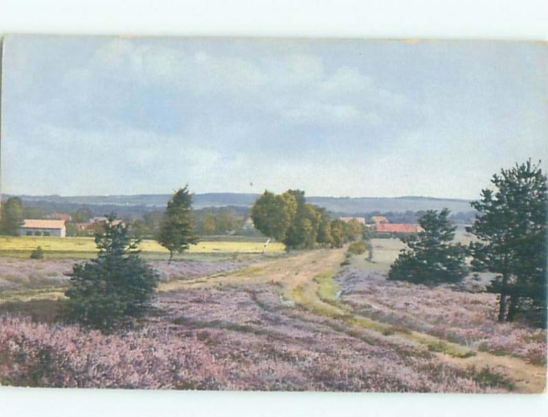 Divided-Back GREAT SCENE Scarce Foreign Postcard AA6642