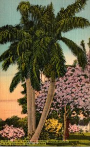 Florida Royal Palms and Purple Bougainvillea