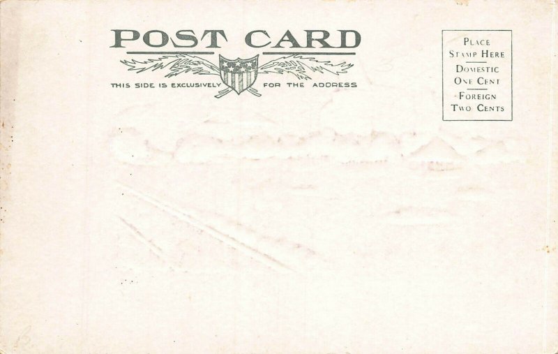 The Union Printers' Home, Colorado Springs, Early Embossed Postcard, Unused