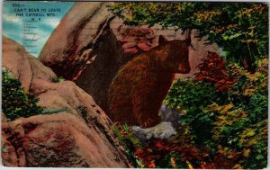 Postcard ANIMAL SCENE Catskill Mountains New York NY AL2487