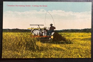 Mint Canada Color Picture Postcard Harvest Scene Cutting Grain