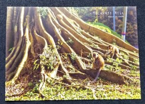 [AG] P51 Malaysia Selangor Melawati Hill Monkey Tree Tourism (postcard) *New