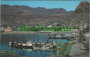 Mexico Postcard - Guaymas Shrimp Fleet, Sonora RS27241