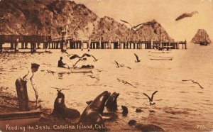 c.1912 Row Boat Seagulls Man Feeding Seals Catalina Island, Ca. RPPC 2T5-431