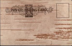 Montreal - Faux Bark Border c1910 Private Mailing Card DORCHESTER ST. #1