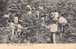 Hawaii Hawaiian Islands Picking Coffee Private Mail Island Curio PC AA24380