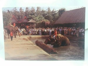 Vintage Postcard Elephants Moving Logs at Rosegarden Nakorn Pathom Thailand