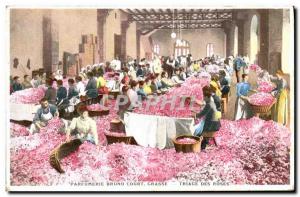 Old Postcard Collection Parfumerie Bruno Court Grasse Sorting roses TOP