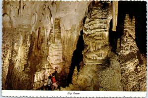 M-104778 Big Room Carlsbad Caverns National Park New Mexico USA