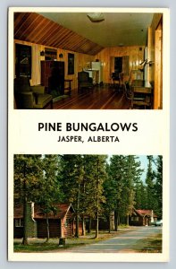 Pine Bungalows In Jasper National Park ALBERTA Canada Vintage Postcard 0638