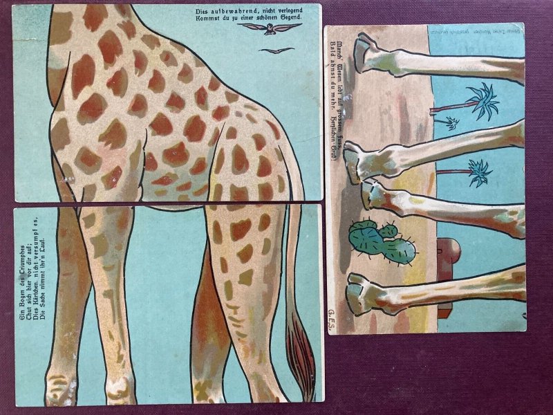 Giraffe 5 Piece Installation German Postcard Set c1910 Very Scarce