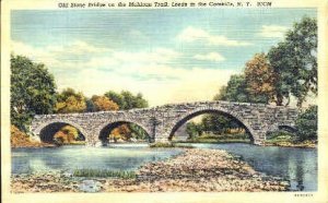 Old Stone Bridge on the Mohican Trail - Leeds in the Catskills, New York NY  