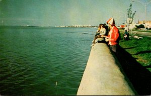 Canada Quebec Rimouski Fishing Scene