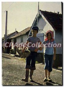 Postcard Modern Ile D'Oleron Couple Starting At Kid Fishing oysters