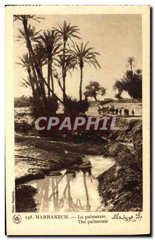 Postcard Old Marrakech palmerale