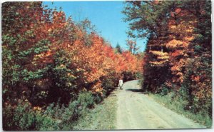 postcard Scenic foliage in Oklahoma