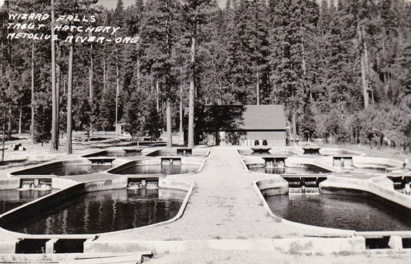 Oregon Metolius River Wizard Falls Fish Hatchery Real Photo sk607