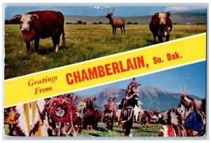 Chamberlain South Dakota Postcard Greetings Banner Animal Native American c1959