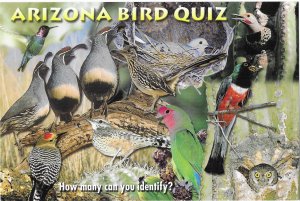 Arizona Bird Quiz How Many Can You Name?  4 by 6