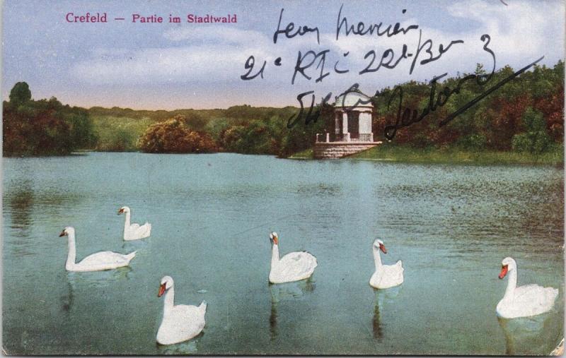 Crefeld Germany Partie im Stadtwald White Swans Krefeld Postcard E38