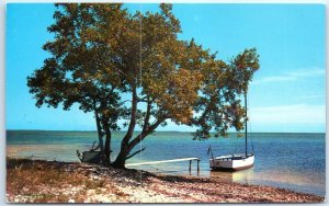 Postcard - A Place to Relax - Tree, Boat in Shore, Sea