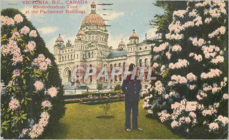 Old Postcard Victoria BC Canada Rhododendron Time at the Parliament Buildings