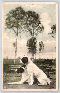 1908 Barry Dogs At Grounds And Trees Serious Faces Portrait Posted Postcard