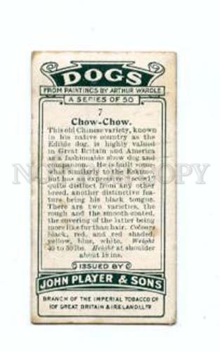 166937 CHOW-CHOW by WARDLE Player CIGARETTE card ADVERTISING