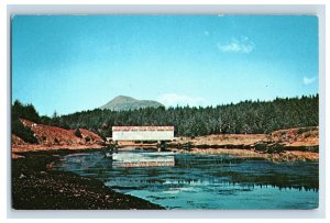 Vintage Afognak Island Covered Bridge-Alaska Postcard P135E