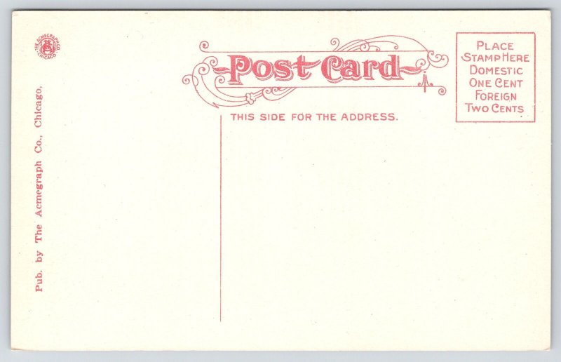 Jacksonville Illinois~Carnegie Public Library on West College~c1910 Acmegraph PC