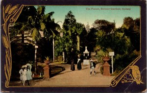 Postcard Australia Sydney Botanic Gardens The Forest