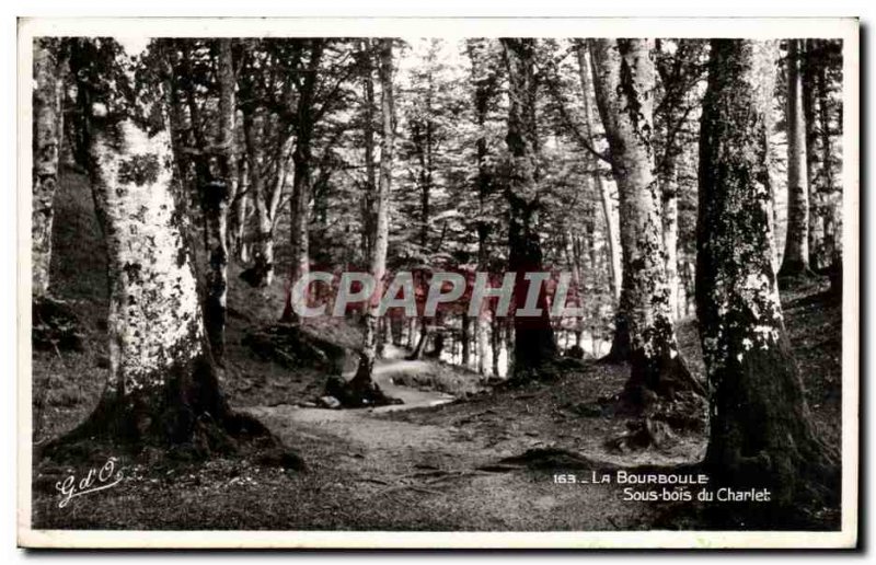 Old Postcard La Bourboule Under Wood Charlet