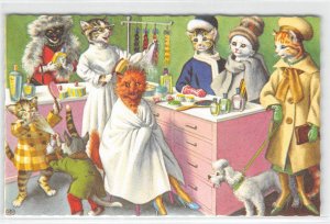 Cats Hair Salon Mainzer Belgium #4930 Vintage Fantasy Anthropomorphic Postcard