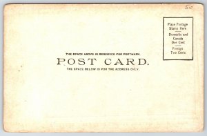 Pigeon Bay Wisconsin~Three Sisters~c1905 B&W Postcard