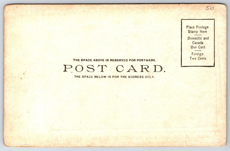 Pigeon Bay Wisconsin~Three Sisters~c1905 B&W Postcard