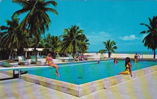 Florida Islamorada The Islander Resort Swimming Pool In The Florida Keys