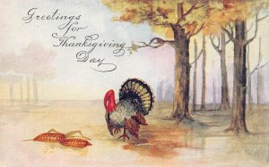 Thanksgiving Greeting Turkey Poultry Corn Forest postcard B989