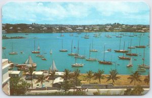 1956 Bermuda Race Hamilton Harbour Yacht Postcard by Bermuda Drug Co.