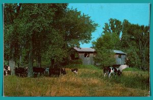 Vermont, North Ferrisburg - Old Covered Bridge - [VT-181]