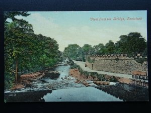 Devon TAVISTOCK The Weir from the Bridge c1910 Postcard by Valentine