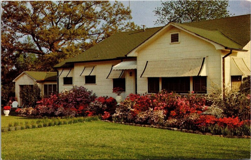 McComb Mississippi Azalea Trail House Dixie Postcard VTG UNP Deep South Mirro  