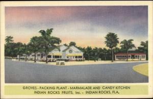 Indian Rocks FL Groves Packing Plant Linen Postcard