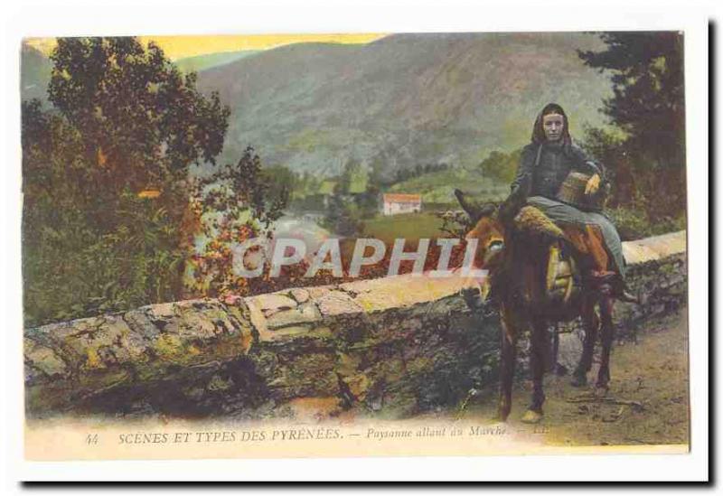 Scenes and Types Pyrenees Old Postcard Peasant going to march TOP (donkey don...