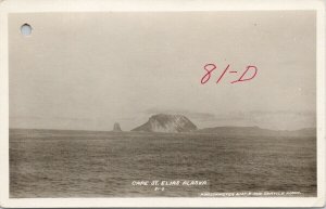 Cape St. Elias Alaska AK P. Wischmeyer Seattle WA RPPC Postcard G91 *as is